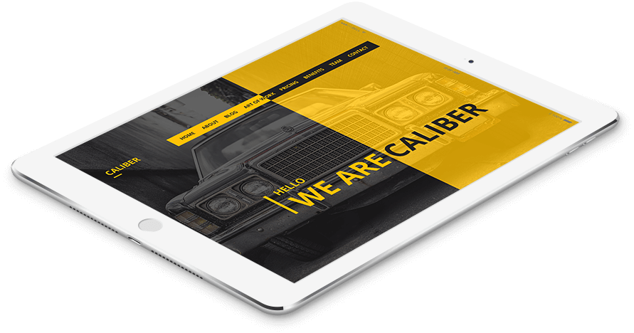 数据驱动决策的网络攻击软件